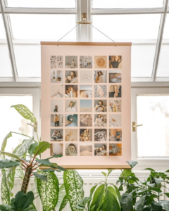 Tips for Home Buying in Collierview